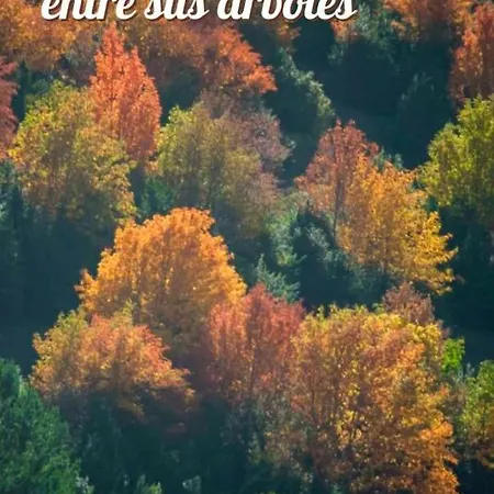 شقة Aranones كانفرانك