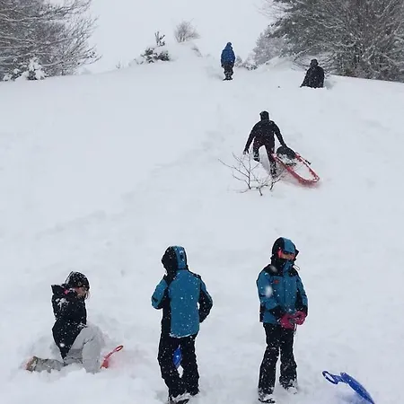 Apartamento Aranones *