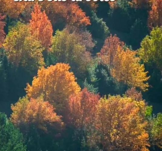 Lägenhet Aranones Canfranc