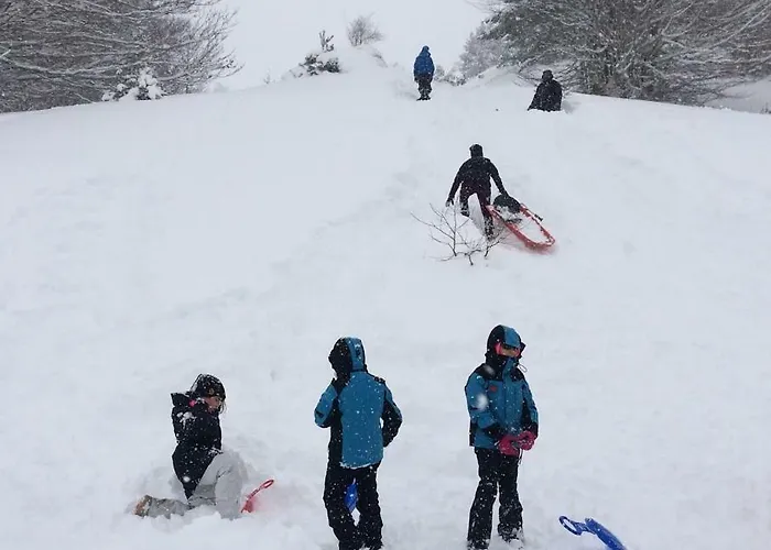 Διαμέρισμα Aranones *